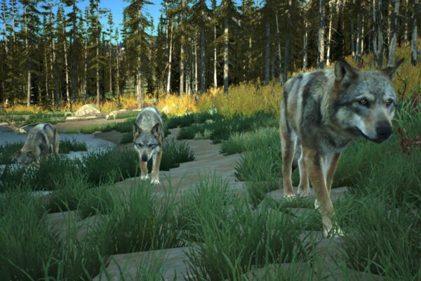 Way of the Hunter (Screenshot)